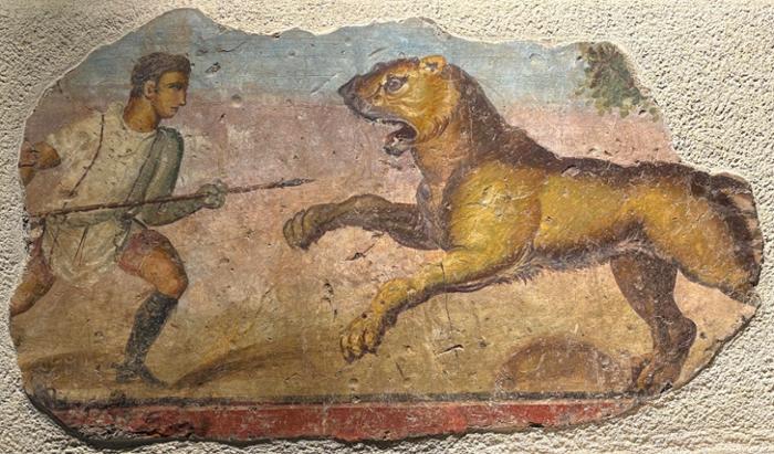 La escena representa una temática de cacería (venatio). Muestra a una figura masculina (un venator o cazador) de perfil hacia la derecha, con el cabello corto. Viste una túnica blanca corta ceñida a la cintura (que forma una especie de kolpos o pliegue embolsado) y decorada con dos franjas rojas verticales (clavi) que caen desde los hombros. El personaje aparece con el brazo izquierdo adelantado hacia la fiera, protegido para el enfrentamiento.