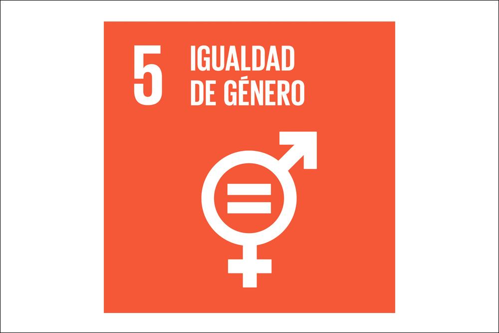 Icono ods Igualdad de género