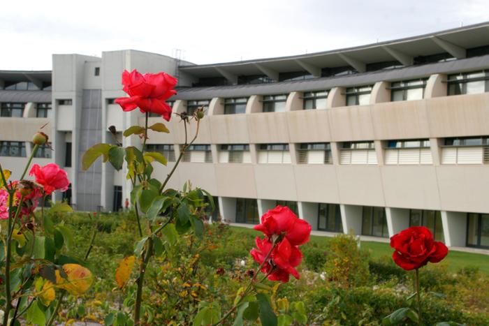 campus de colmenarejo