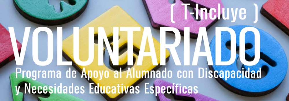 Imagen con las palabras: Voluntariado T-Incluye