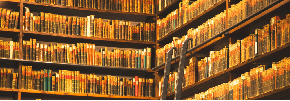 Día de las Bibliotecas 2025: las bibliotecas frente a la desinformación