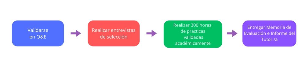 Pasos a seguir Turismo