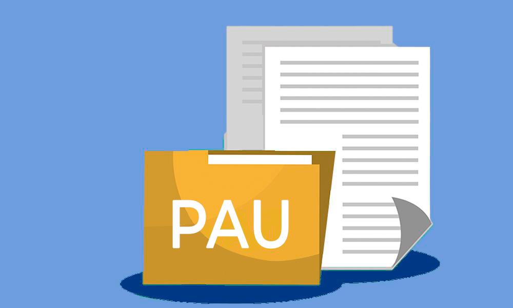 PRUEBA DE ACCESO A LA UNIVERSIDAD