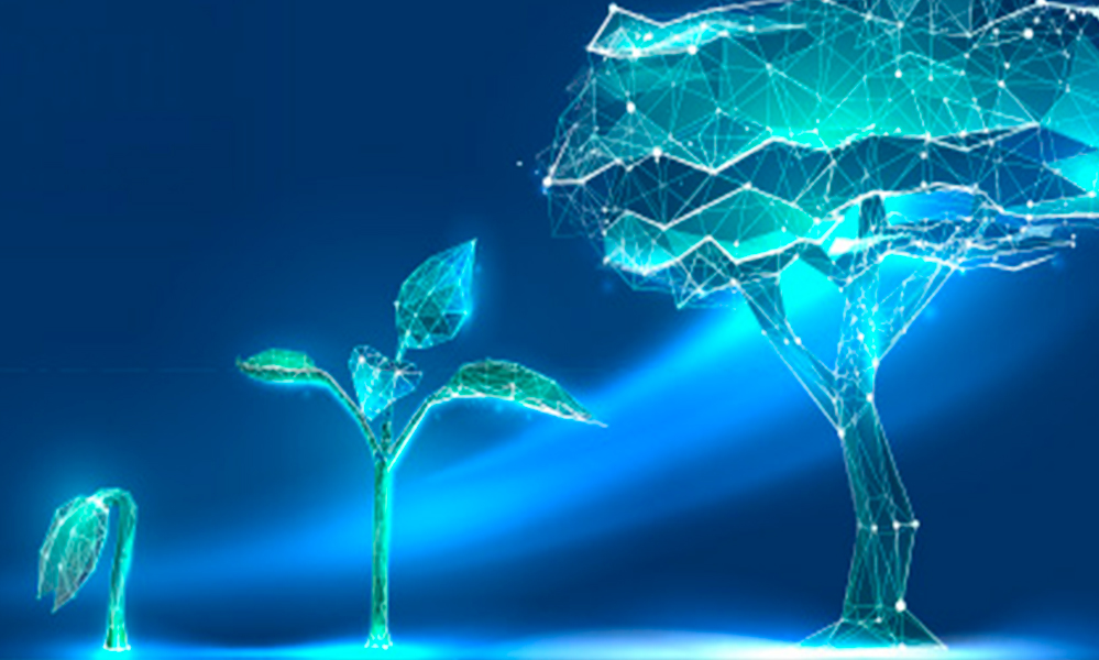 semana de la ciencia