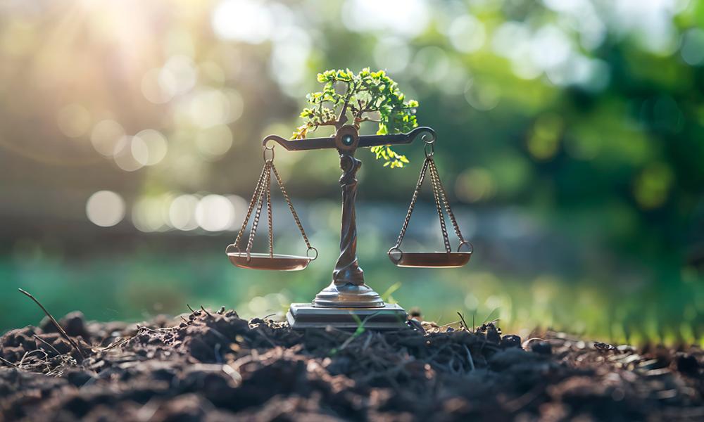 ¿Puede la naturaleza ser sujeto de derechos?