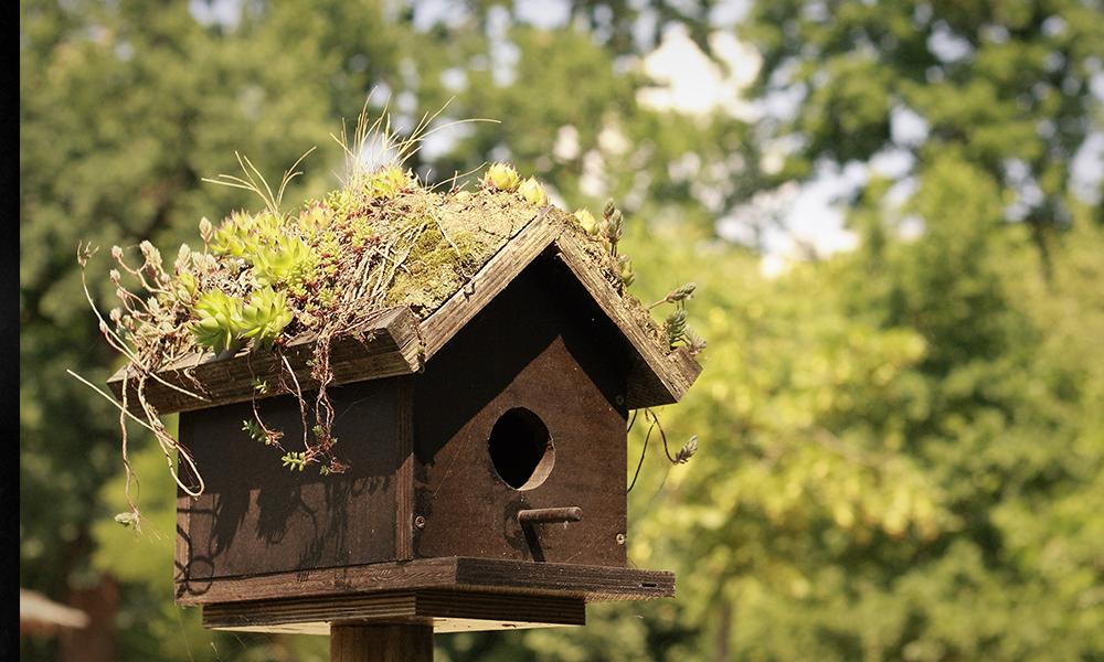 semana de la ciencia y la innovación
