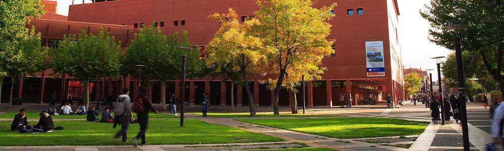 EL ENTORNO DE LOS CAMPUS