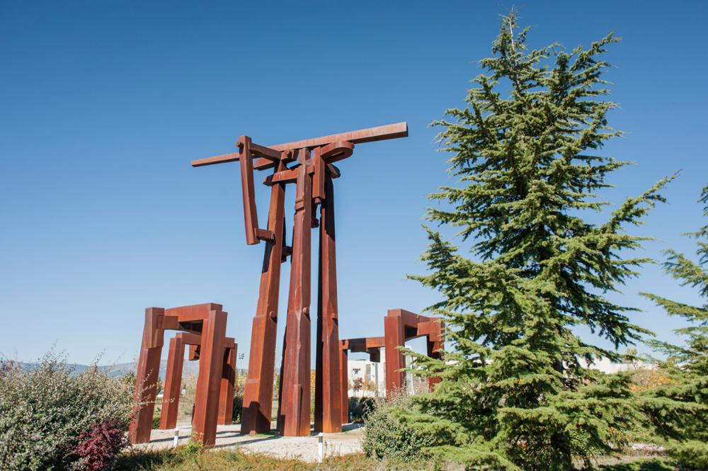 Proyecto Biodiversidad cercana