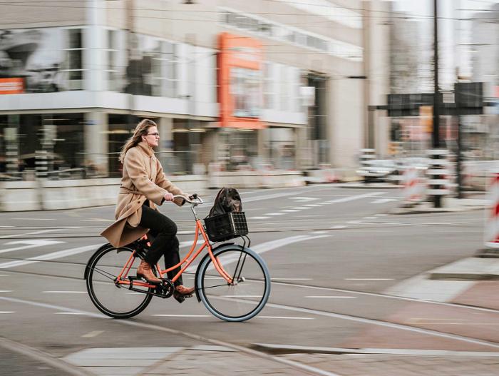 Bicicletas