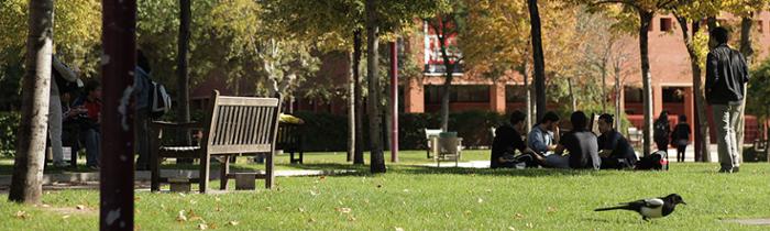 Banner fauna de los campus