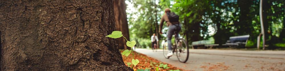 Del consumidor responsable al consumo sostenible