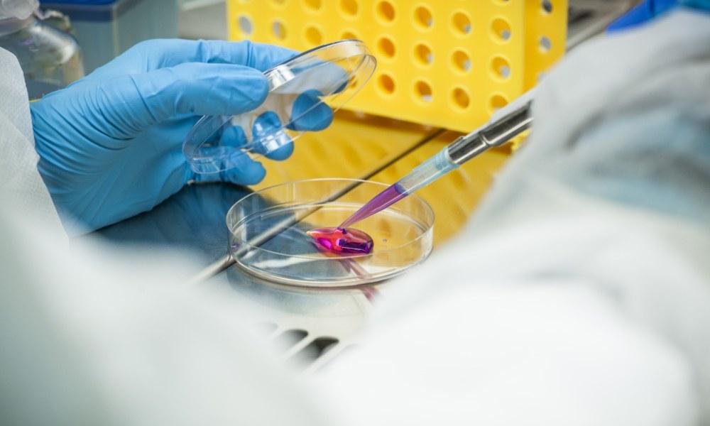 Laboratorio del Departamento de Bioingeniería de la UC3M.