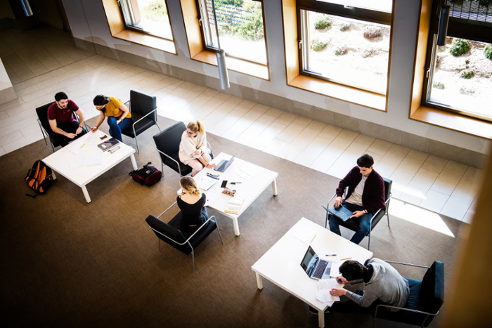 Transfer and Entrepreneurship